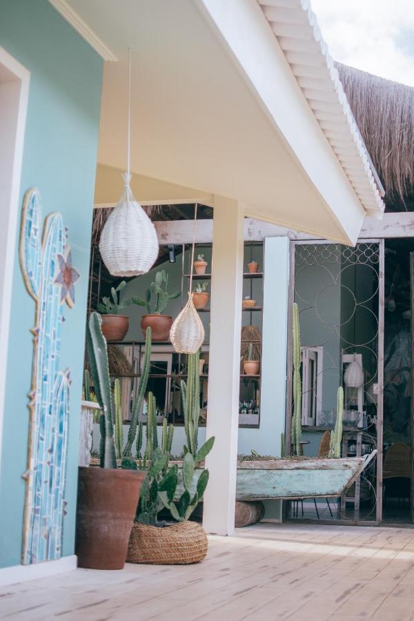 Cactus Lodge Pipa Praia de Pipa ภายนอก รูปภาพ
