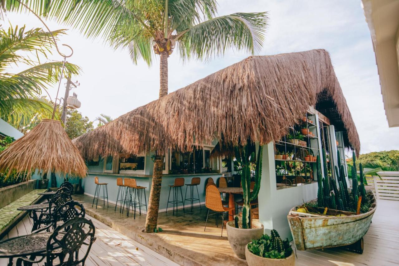 Cactus Lodge Pipa Praia de Pipa ภายนอก รูปภาพ