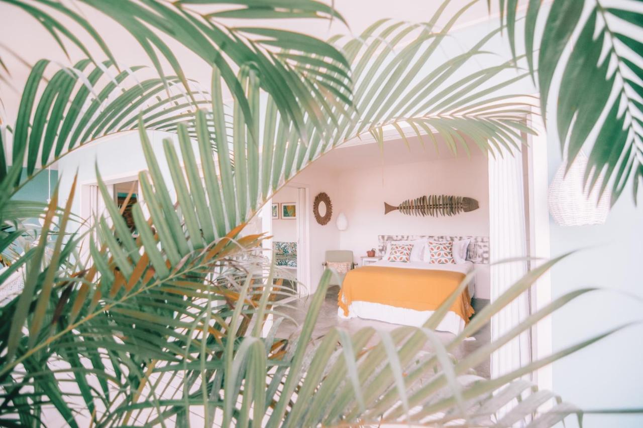 Cactus Lodge Pipa Praia de Pipa ภายนอก รูปภาพ