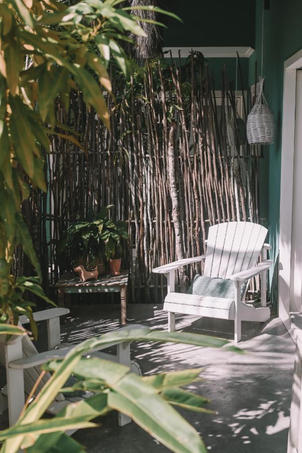 Cactus Lodge Pipa Praia de Pipa ภายนอก รูปภาพ
