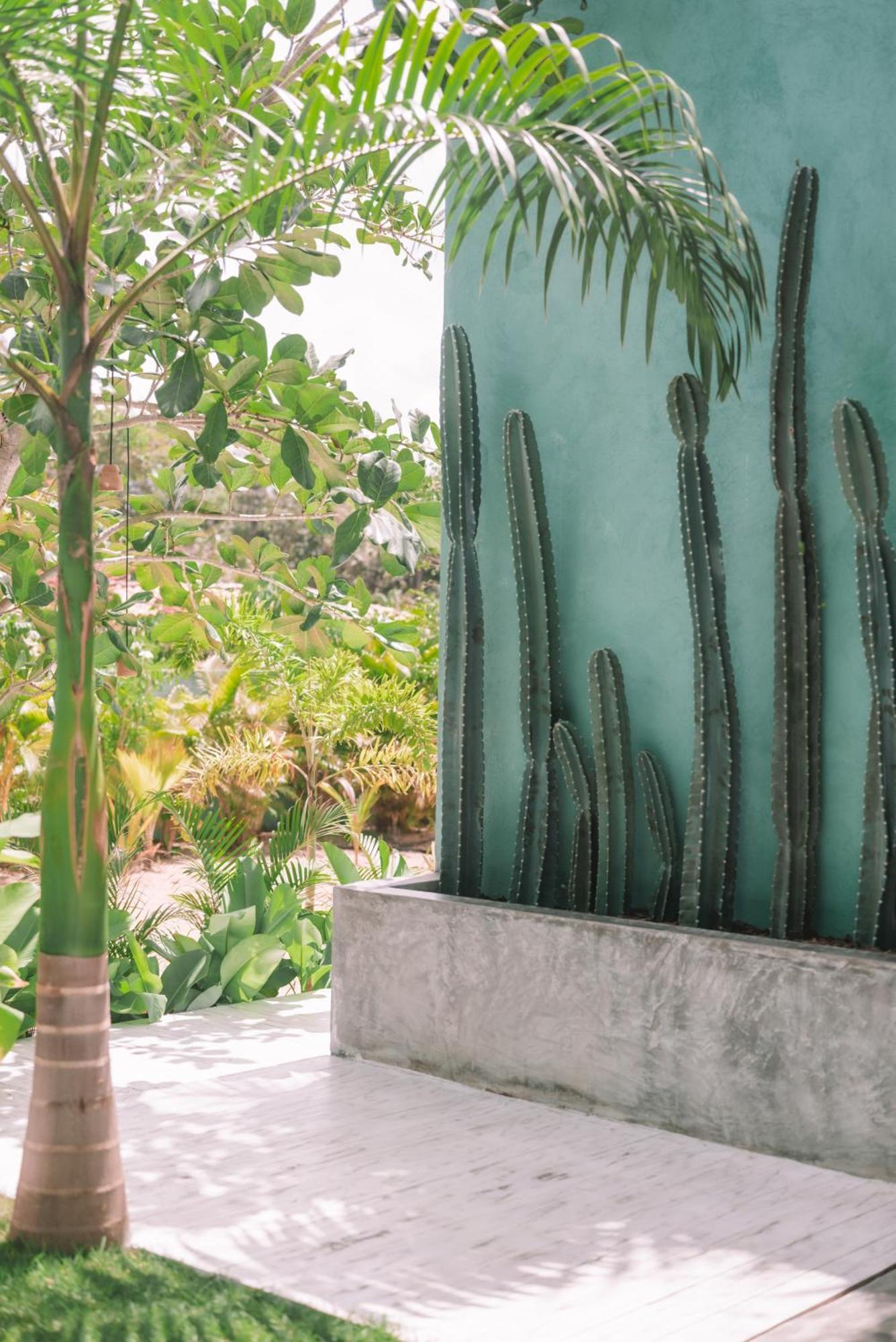 Cactus Lodge Pipa Praia de Pipa ภายนอก รูปภาพ