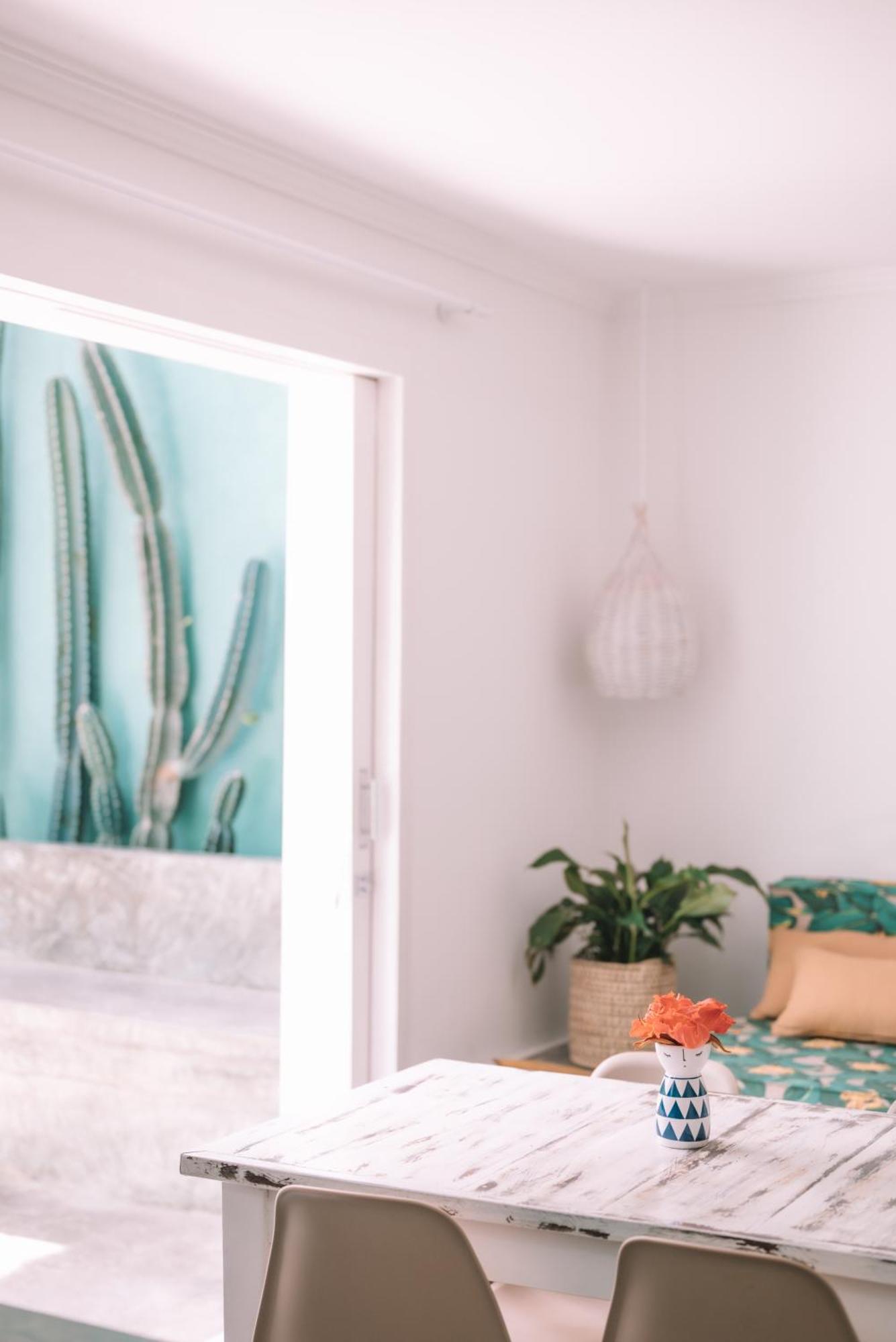 Cactus Lodge Pipa Praia de Pipa ภายนอก รูปภาพ